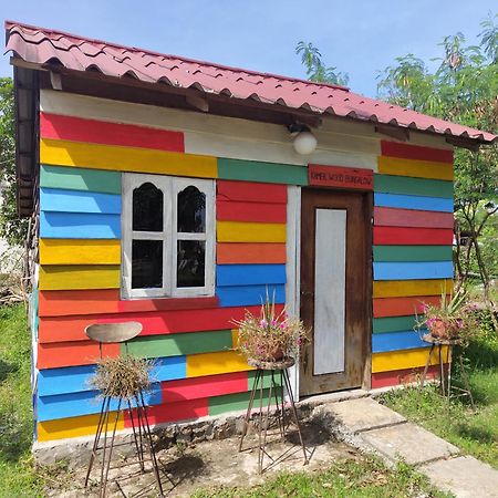 The Bear Bungalow 캄폿 외부 사진